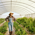 Understanding the Definition of Produce: A Comprehensive Guide