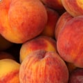Peach Picking Tips: When Are Peaches in Season and How to Choose the Ripest Ones Every Time