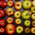 The Significance of Producing Fruit: An Expert's Perspective
